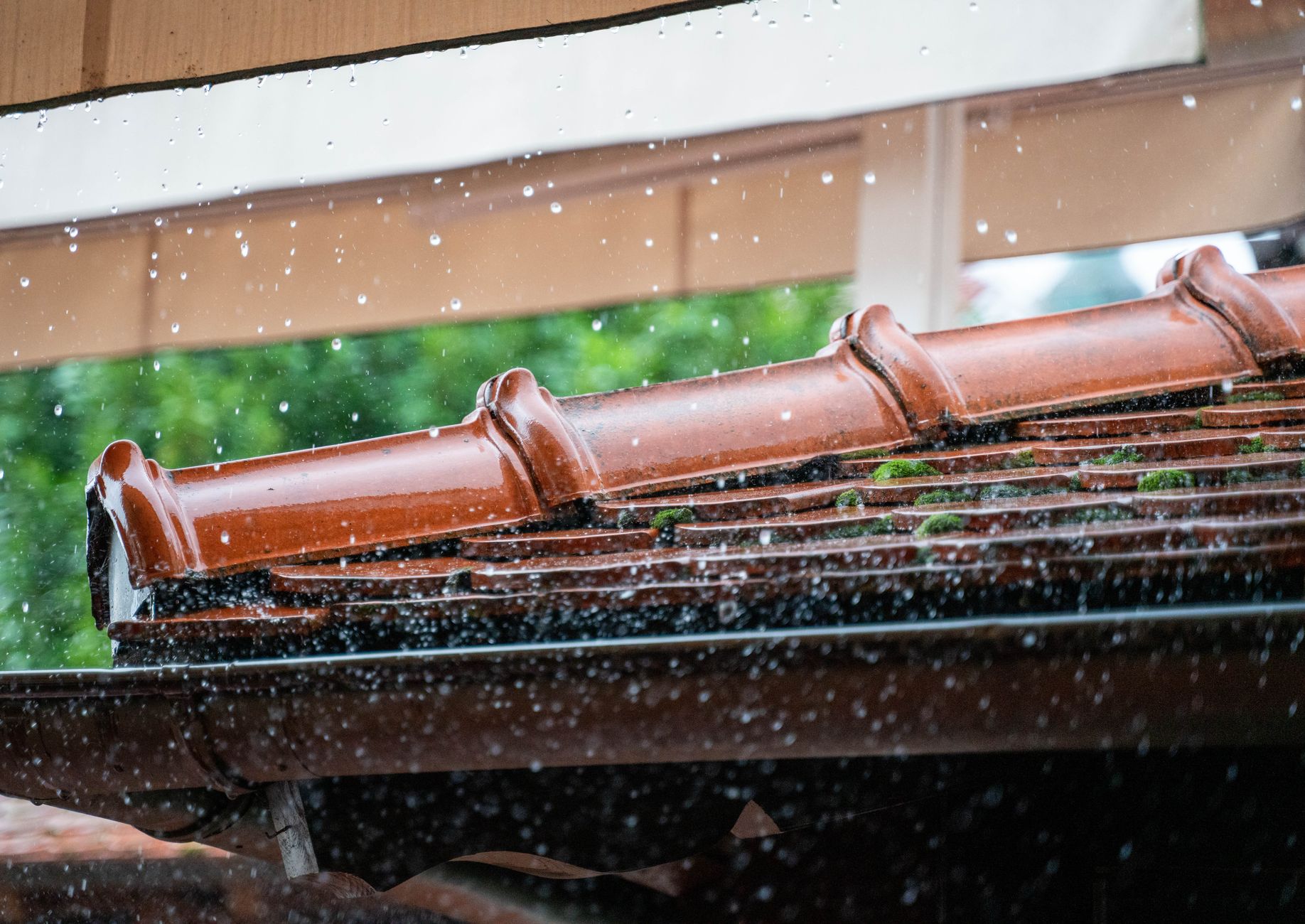 Gutter Solutions